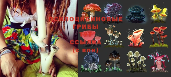 а пвп мука Абдулино