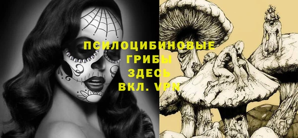 мяу мяу мука Абинск