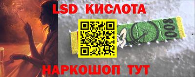 гашик Камышлов