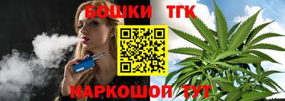 гашик Камышлов
