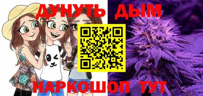 гашик Камышлов