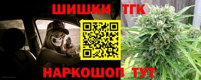гашик Камышлов