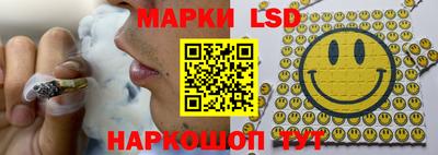гидропоника Кимры