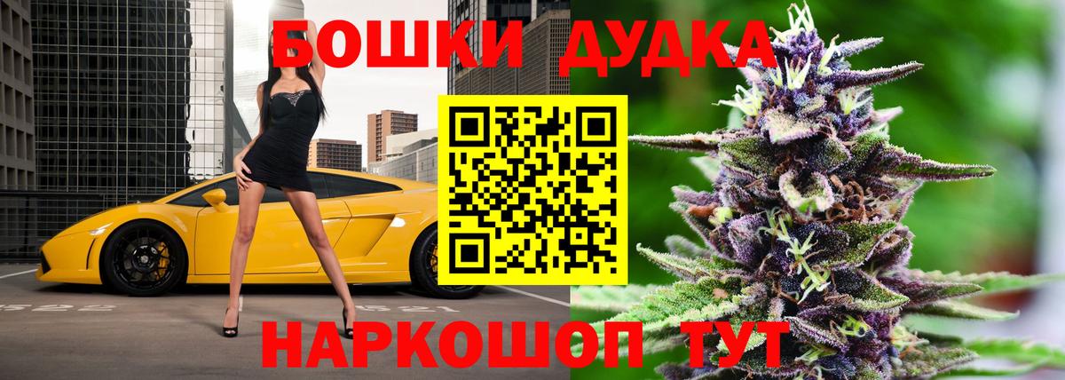 Конопля сатива Прохладный
